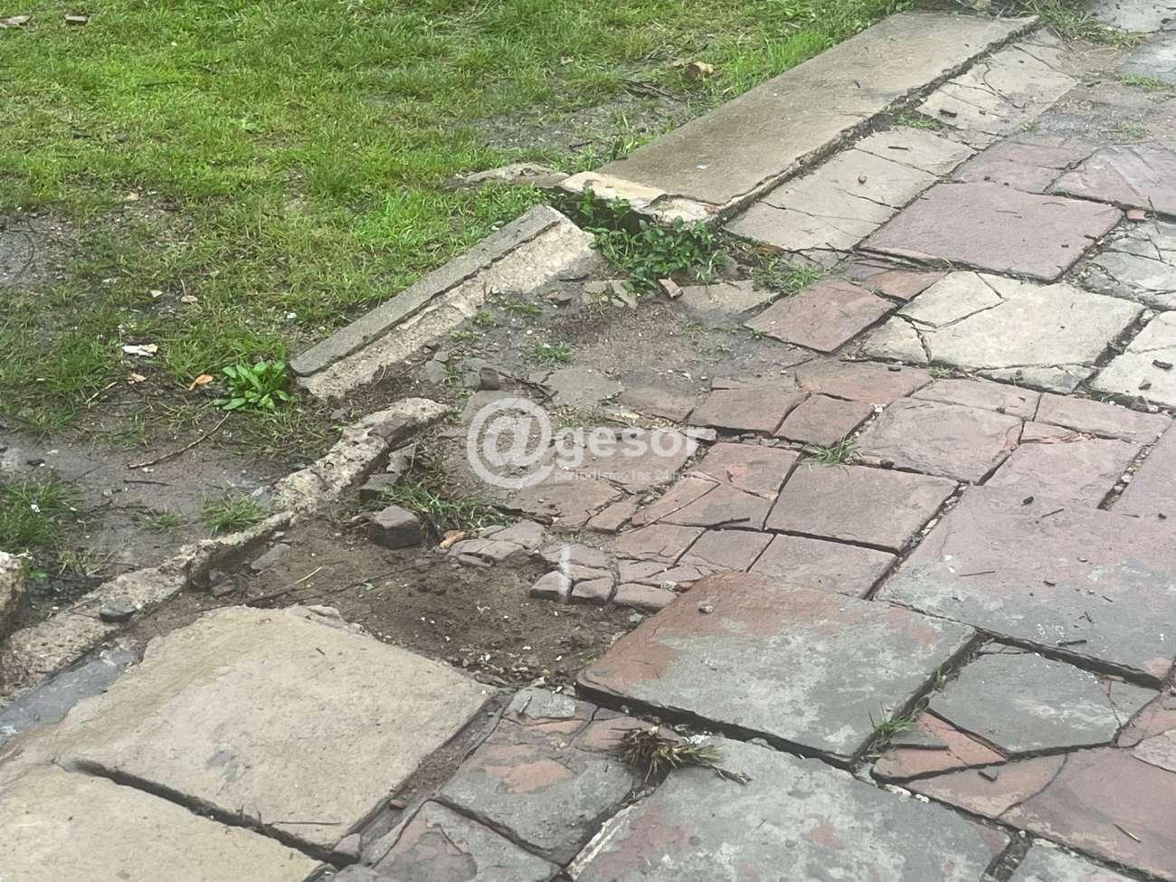 Image7